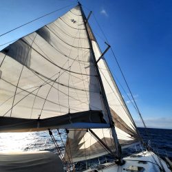 Alpay Anıl İdemen Mavi Tur